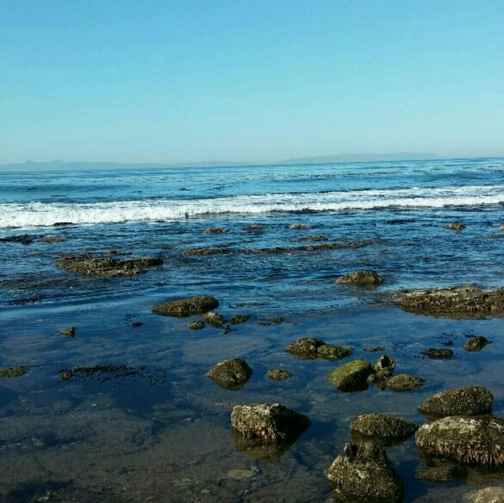 Meet your Posher, Jorge